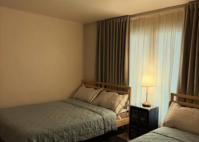 Villa New, 10 Minutes To Hongdae, 3 Minutes To Airport Bus, River, And Hapjeong Station, Myeongdong, Gyeongbokgung Palace, Seongsu, Yg, And Mangwon Market, Luggage Storage, Free Parking *
