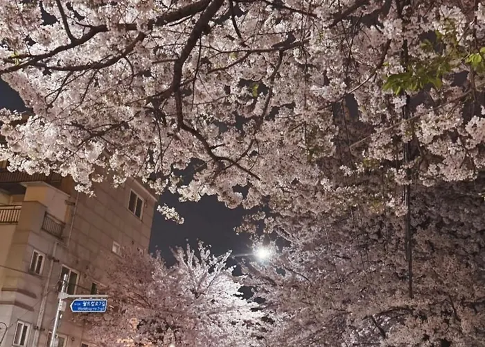 New, 10 Minutes To Hongdae, 3 Minutes To Airport Bus, River, And Hapjeong Station, Myeongdong, Gyeongbokgung Palace, Seongsu, Yg, And Mangwon Market, Luggage Storage, Free Parking Villa Seoel